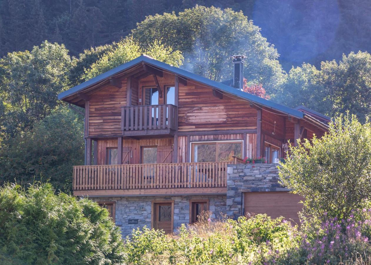 Chalet Champ De La Lune 莱热 外观 照片